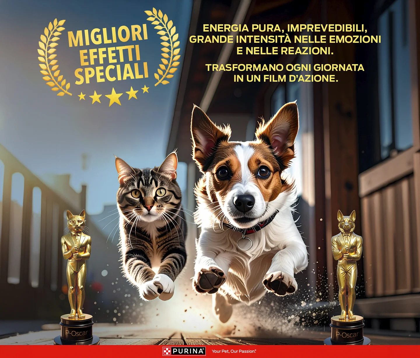 Una delle creatività personalizzate legate al test della newsletter Purina in occasione degli Oscar 2026