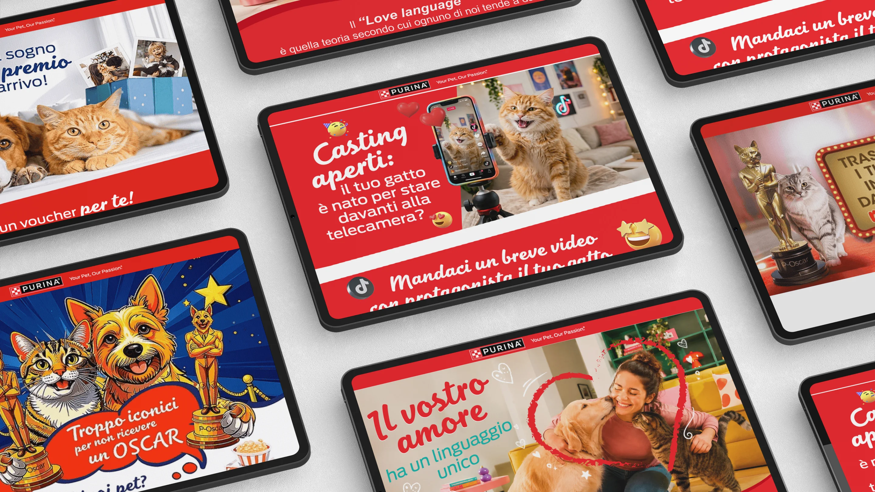 I key visual delle attivazioni realizzate per il piano CRM di Purina per fare leva su un database di contatti per le DEM